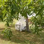 La Mariola * سانتا لوتشي
