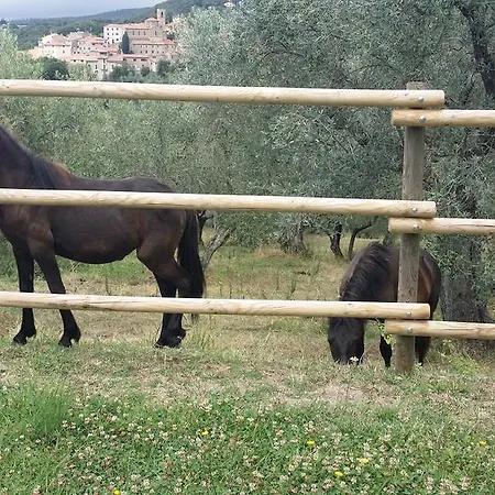 La Mariola