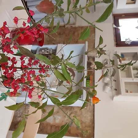 Εξοχικό σπίτι La Mariola *