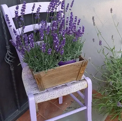 La Mariola סנטה לוצ'ה